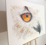 The look (120x90cm)