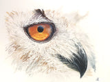 The look (120x90cm)